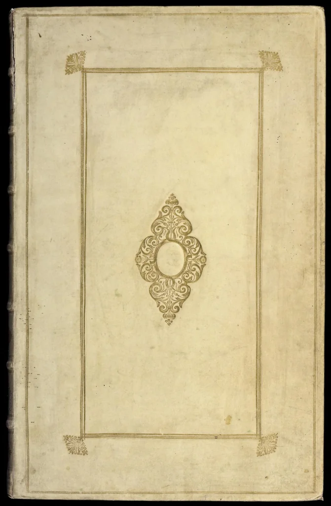 An illustration from Naauwkeurige beschryving der aardgewassen : waar in de veelerley aart en bijzondere eigenschappen der boomen, heesters, kruyden, bloemen, met haare vrugten, zaden, wortelen en bollen, neevens derzelver waare voort-teeling, gelukkige aanwinning, en heylzaame genees-krachten : na een veel-jarige oeffening en eigen ondervinding, in drie onderscheide boeken, naauwkeuriglijk beschreeven worden, 1696, leaf 0