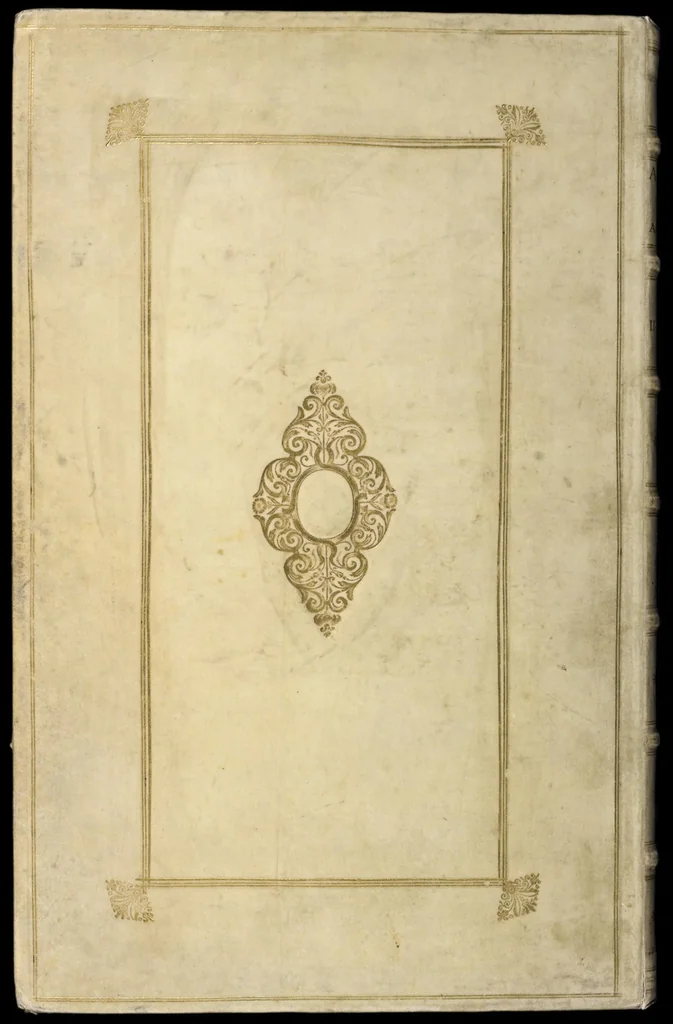 An illustration from Naauwkeurige beschryving der aardgewassen : waar in de veelerley aart en bijzondere eigenschappen der boomen, heesters, kruyden, bloemen, met haare vrugten, zaden, wortelen en bollen, neevens derzelver waare voort-teeling, gelukkige aanwinning, en heylzaame genees-krachten : na een veel-jarige oeffening en eigen ondervinding, in drie onderscheide boeken, naauwkeuriglijk beschreeven worden, 1696, leaf 349