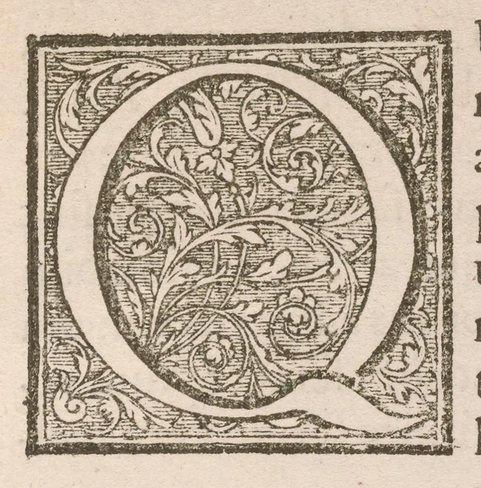 An illustration from De vera antiquorum herba Britannica : ejusdemque efficacia contra stomacaccen, seu scelotyrben, Frisiis et Batavis de scheurbuyck : dissertatio historico-medica, 1681, leaf 10