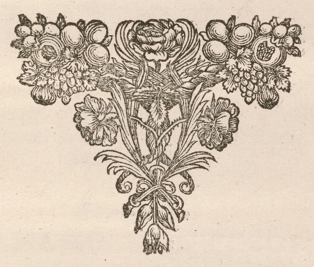 An illustration from De vera antiquorum herba Britannica : ejusdemque efficacia contra stomacaccen, seu scelotyrben, Frisiis et Batavis de scheurbuyck : dissertatio historico-medica, 1681, leaf 326