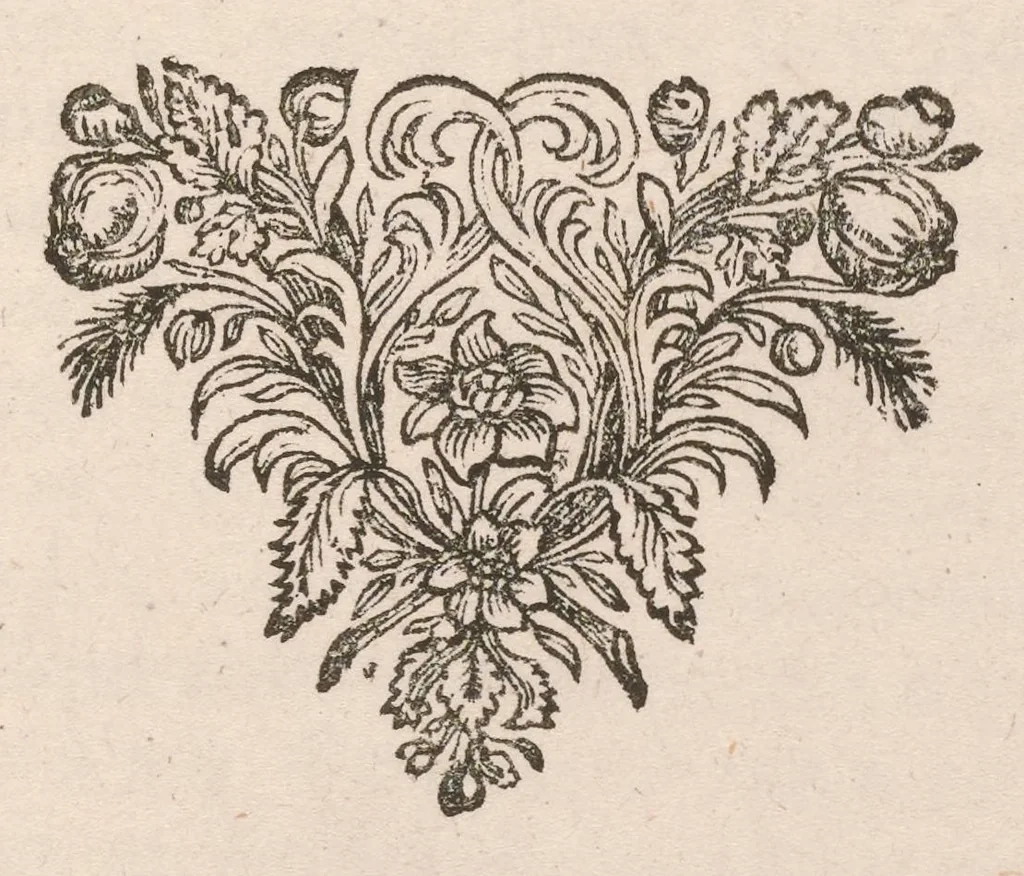 An illustration from De vera antiquorum herba Britannica : ejusdemque efficacia contra stomacaccen, seu scelotyrben, Frisiis et Batavis de scheurbuyck : dissertatio historico-medica, 1681, leaf 328