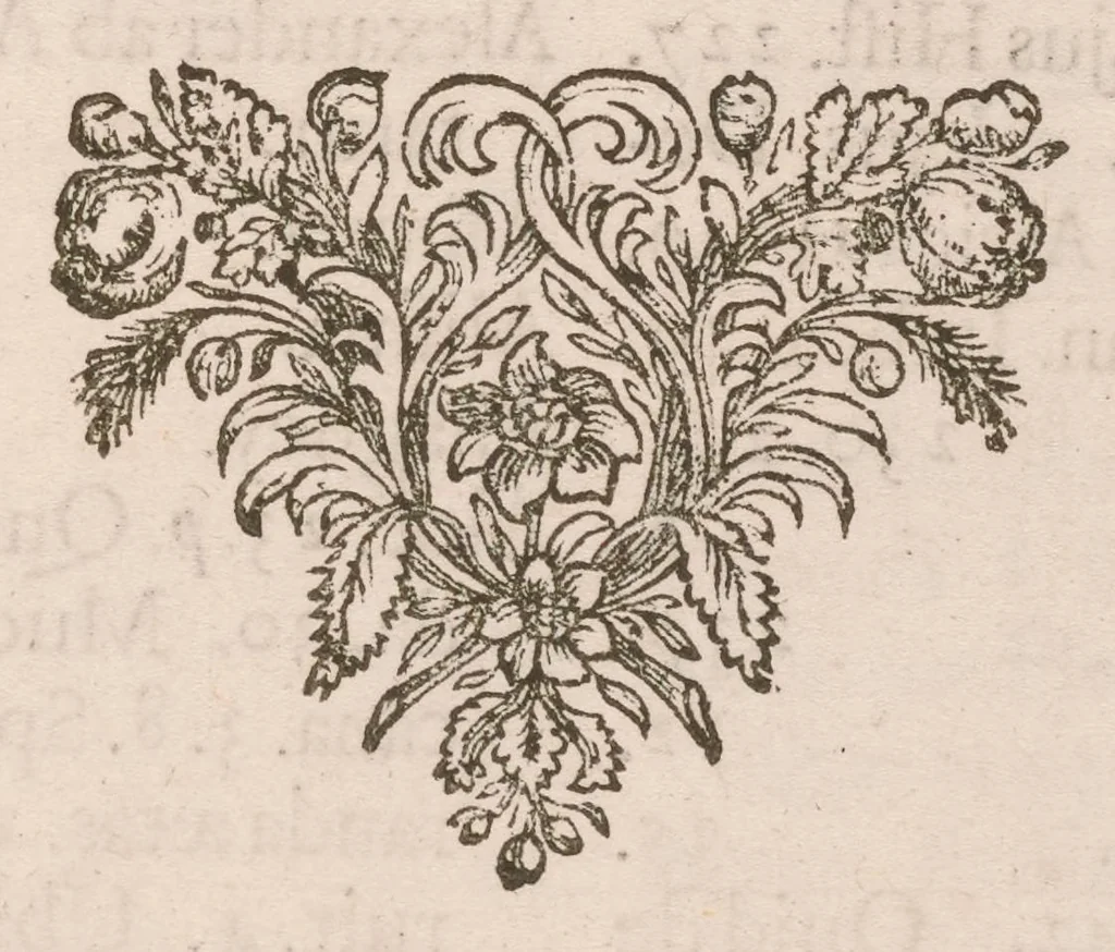 An illustration from De vera antiquorum herba Britannica : ejusdemque efficacia contra stomacaccen, seu scelotyrben, Frisiis et Batavis de scheurbuyck : dissertatio historico-medica, 1681, leaf 360