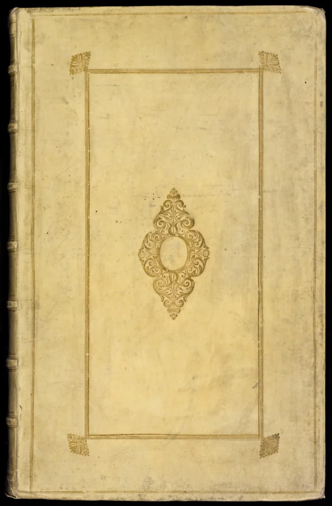 An illustration from Naauwkeurige beschryving der aardgewassen : waar in de veelerley aart en bijzondere eigenschappen der boomen, heesters, kruyden, bloemen, met haare vrugten, zaden, wortelen en bollen, neevens derzelver waare voort-teeling, gelukkige aanwinning, en heylzaame genees-krachten : na een veel-jarige oeffening en eigen ondervinding, in drie onderscheide boeken, naauwkeuriglijk beschreeven worden, 1696, leaf 0