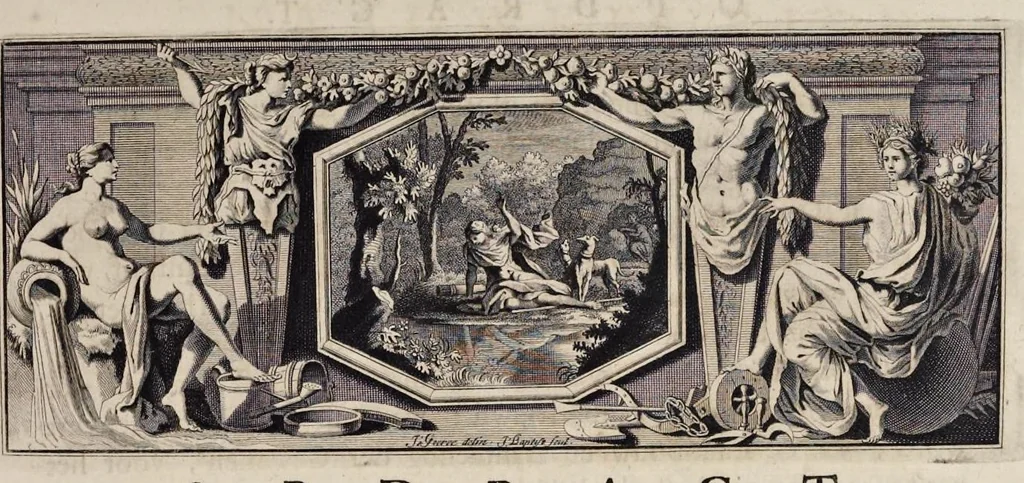 An illustration from Naauwkeurige beschryving der aardgewassen : waar in de veelerley aart en bijzondere eigenschappen der boomen, heesters, kruyden, bloemen, met haare vrugten, zaden, wortelen en bollen, neevens derzelver waare voort-teeling, gelukkige aanwinning, en heylzaame genees-krachten : na een veel-jarige oeffening en eigen ondervinding, in drie onderscheide boeken, naauwkeuriglijk beschreeven worden, 1696, leaf 12
