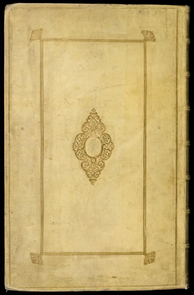 An illustration from Naauwkeurige beschryving der aardgewassen : waar in de veelerley aart en bijzondere eigenschappen der boomen, heesters, kruyden, bloemen, met haare vrugten, zaden, wortelen en bollen, neevens derzelver waare voort-teeling, gelukkige aanwinning, en heylzaame genees-krachten : na een veel-jarige oeffening en eigen ondervinding, in drie onderscheide boeken, naauwkeuriglijk beschreeven worden, 1696, leaf 731