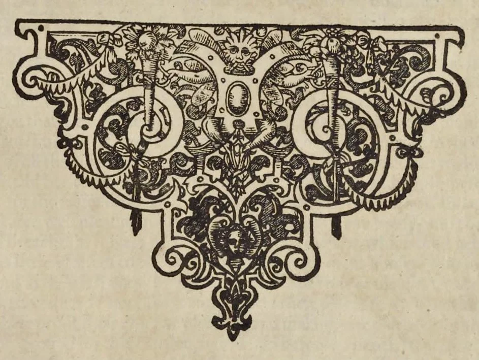 An illustration from Paradisi in sole paradisus terrestris, or, A garden of all sorts of pleasant flowers : which our English ayre will permitt to be noursed vp : with a kitchen garden of all manner of herbes, rootes & fruites for meate or sause vsed with vs : and, an orchard of all sorte of fruitbearing trees and shrubbes fit for our land : together with the right orderinge, planting & preseruing of them and their vses & vertues, 1629, leaf 474