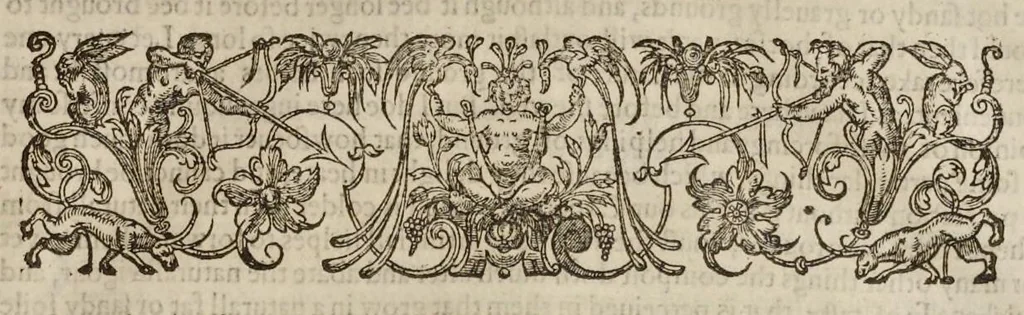 An illustration from Paradisi in sole paradisus terrestris, or, A garden of all sorts of pleasant flowers : which our English ayre will permitt to be noursed vp : with a kitchen garden of all manner of herbes, rootes & fruites for meate or sause vsed with vs : and, an orchard of all sorte of fruitbearing trees and shrubbes fit for our land : together with the right orderinge, planting & preseruing of them and their vses & vertues, 1629, leaf 476