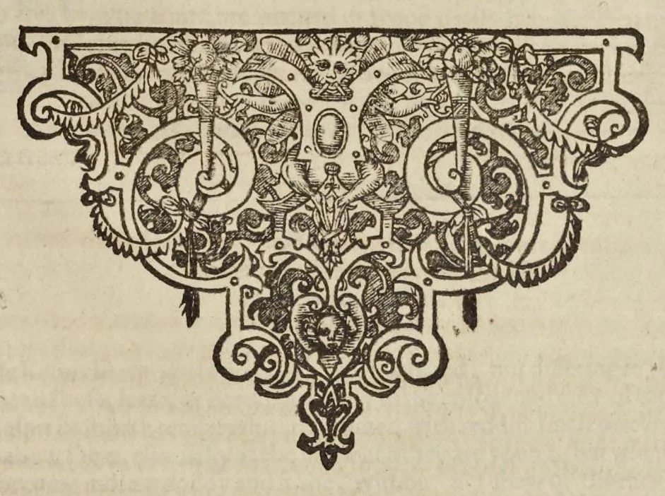 An illustration from Paradisi in sole paradisus terrestris, or, A garden of all sorts of pleasant flowers : which our English ayre will permitt to be noursed vp : with a kitchen garden of all manner of herbes, rootes & fruites for meate or sause vsed with vs : and, an orchard of all sorte of fruitbearing trees and shrubbes fit for our land : together with the right orderinge, planting & preseruing of them and their vses & vertues, 1629, leaf 570