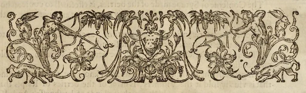 An illustration from Paradisi in sole paradisus terrestris, or, A garden of all sorts of pleasant flowers : which our English ayre will permitt to be noursed vp : with a kitchen garden of all manner of herbes, rootes & fruites for meate or sause vsed with vs : and, an orchard of all sorte of fruitbearing trees and shrubbes fit for our land : together with the right orderinge, planting & preseruing of them and their vses & vertues, 1629, leaf 572