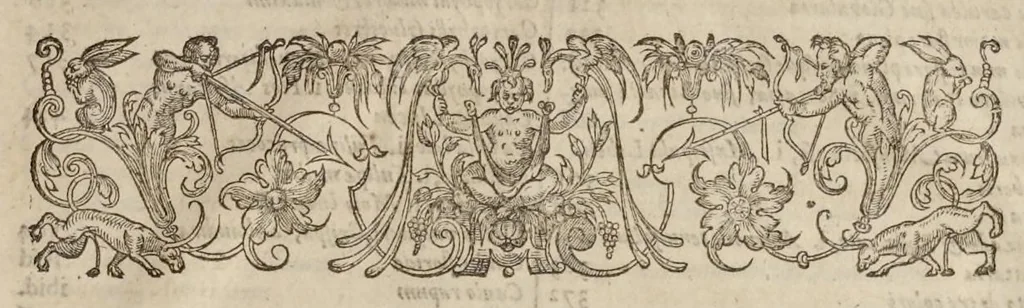 An illustration from Paradisi in sole paradisus terrestris, or, A garden of all sorts of pleasant flowers : which our English ayre will permitt to be noursed vp : with a kitchen garden of all manner of herbes, rootes & fruites for meate or sause vsed with vs : and, an orchard of all sorte of fruitbearing trees and shrubbes fit for our land : together with the right orderinge, planting & preseruing of them and their vses & vertues, 1629, leaf 628