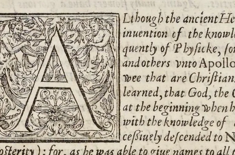 An illustration from Paradisi in sole paradisus terrestris, or, A garden of all sorts of pleasant flowers : which our English ayre will permitt to be noursed vp : with a kitchen garden of all manner of herbes, rootes & fruites for meate or sause vsed with vs : and, an orchard of all sorte of fruitbearing trees and shrubbes fit for our land : together with the right orderinge, planting & preseruing of them and their vses & vertues, 1629, leaf 8