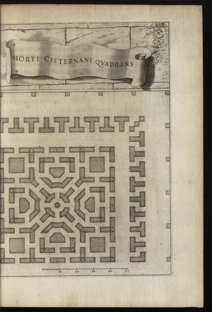 An illustration from Io. Bapt. Ferrarii Senensis e Societate Iesu De florum cultura libri IV, 1633, leaf 232