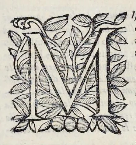 An illustration from Esequie fatte in Padoua al gra[nde] prior di Lombardia f. Agostino Forzadura, sig. di Candiolo &c., li xix aprile M.DC.LXIII, 1663, leaf 42