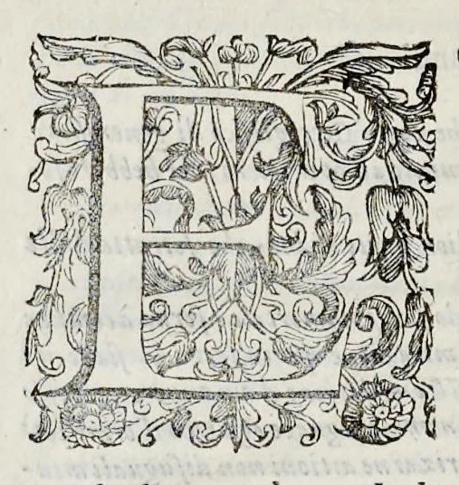 An illustration from Esequie fatte in Padoua al gra[nde] prior di Lombardia f. Agostino Forzadura, sig. di Candiolo &c., li xix aprile M.DC.LXIII, 1663, leaf 47