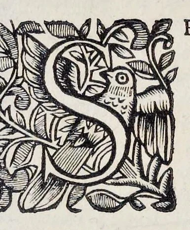 An illustration from Esequie fatte in Padoua al gra[nde] prior di Lombardia f. Agostino Forzadura, sig. di Candiolo &c., li xix aprile M.DC.LXIII, 1663, leaf 6