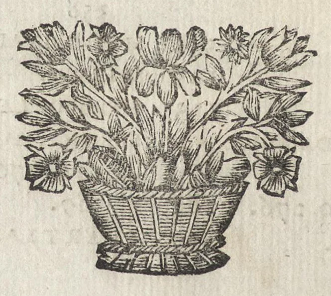 An illustration from Numismata imperatorum romanorum praestantiora a Julio Caesare ad Postumum et tyrannos, 1694, leaf 413