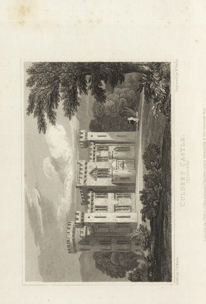 An illustration from Views of the seats of noblemen and gentlemen, in England, Wales, Scotland, and Ireland, 1820, leaf 275