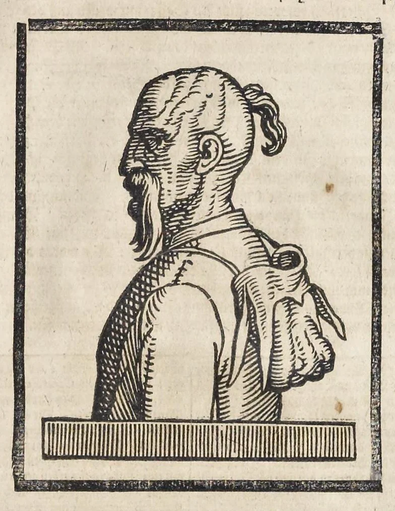 An illustration from Türckischer Estaats- und Krieges- Bericht, oder, Eine kurtze und gründliche Beschreibung des türckischen Käysers, Grosz- und anderer Veziers, Militz, Land und Leuten, Gewonheiten, Krieges- und Lebens-Arth, Gewehr, Kleydung, and was davon ferner zu berichten nötig, 1683, leaf 194
