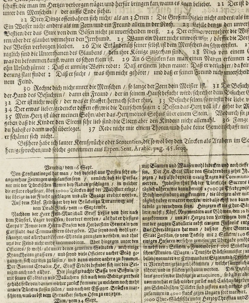 An illustration from Türckischer Estaats- und Krieges- Bericht, oder, Eine kurtze und gründliche Beschreibung des türckischen Käysers, Grosz- und anderer Veziers, Militz, Land und Leuten, Gewonheiten, Krieges- und Lebens-Arth, Gewehr, Kleydung, and was davon ferner zu berichten nötig, 1683, leaf 199
