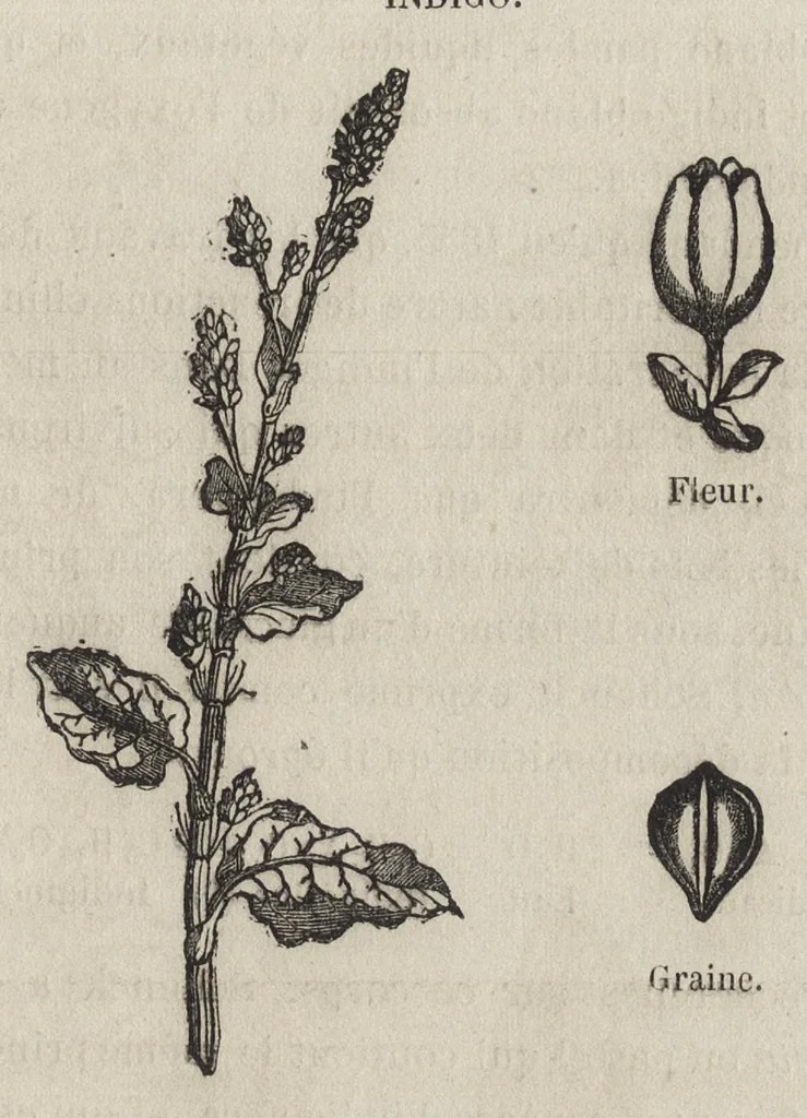 An illustration from Traité de la teinture des tissus et de l'impression du calicot : comprenant les derniers perfectionnements apportés dans la préparation et l'emploi des couleurs d'aniline : ouvrage illustré de gravures sur bois et de nombreux échantillons d'étoffes teintes et imprimées, 1875, leaf 166