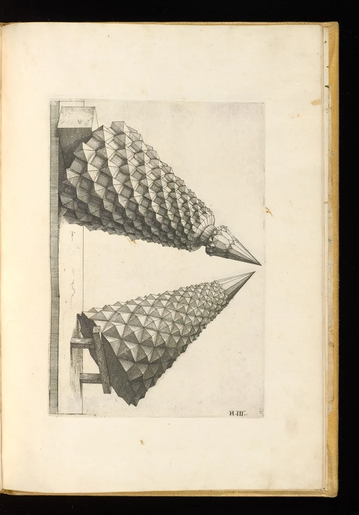 An illustration from Perspectiua corporum regularium : das ist, ein fleyssige Fürweysung, wie die fünff regulirten Cörper, daruon Plato inn Timaeo, vnnd Euclides inn sein Elementis schreibt, &c.; durch einen sonderlichen, newen, behenden vnd gerechten Weg, der vor nie im Gebrauch ist gesehen worden, gar künstlich inn die Perspectiua gebracht : vnd darzu ein schöne Anleytung, wie auss denselbigen fünff Cörpern one Endt, gar viel andere Cörper, mancherley Art vnd Gestalt, gemacht unnd gefunden werden mügen : allen Liebhabern der freyen Kunst zu Ehrn / ǂc durch Wentzeln Jamnitzer, burgern vnd Goldtschmid in Nürmberg, mit Götlicher Hülff an Tag geben &c, 1568, leaf 100
