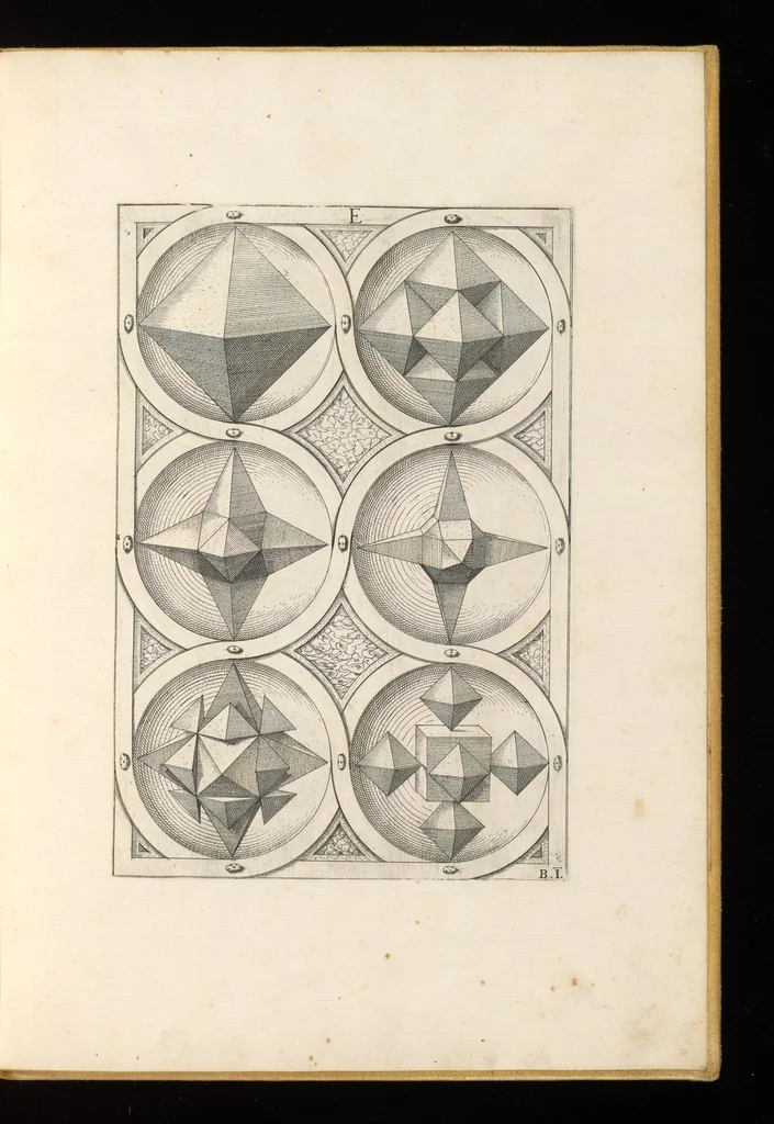 An illustration from Perspectiua corporum regularium : das ist, ein fleyssige Fürweysung, wie die fünff regulirten Cörper, daruon Plato inn Timaeo, vnnd Euclides inn sein Elementis schreibt, &c.; durch einen sonderlichen, newen, behenden vnd gerechten Weg, der vor nie im Gebrauch ist gesehen worden, gar künstlich inn die Perspectiua gebracht : vnd darzu ein schöne Anleytung, wie auss denselbigen fünff Cörpern one Endt, gar viel andere Cörper, mancherley Art vnd Gestalt, gemacht unnd gefunden werden mügen : allen Liebhabern der freyen Kunst zu Ehrn / ǂc durch Wentzeln Jamnitzer, burgern vnd Goldtschmid in Nürmberg, mit Götlicher Hülff an Tag geben &c, 1568, leaf 24