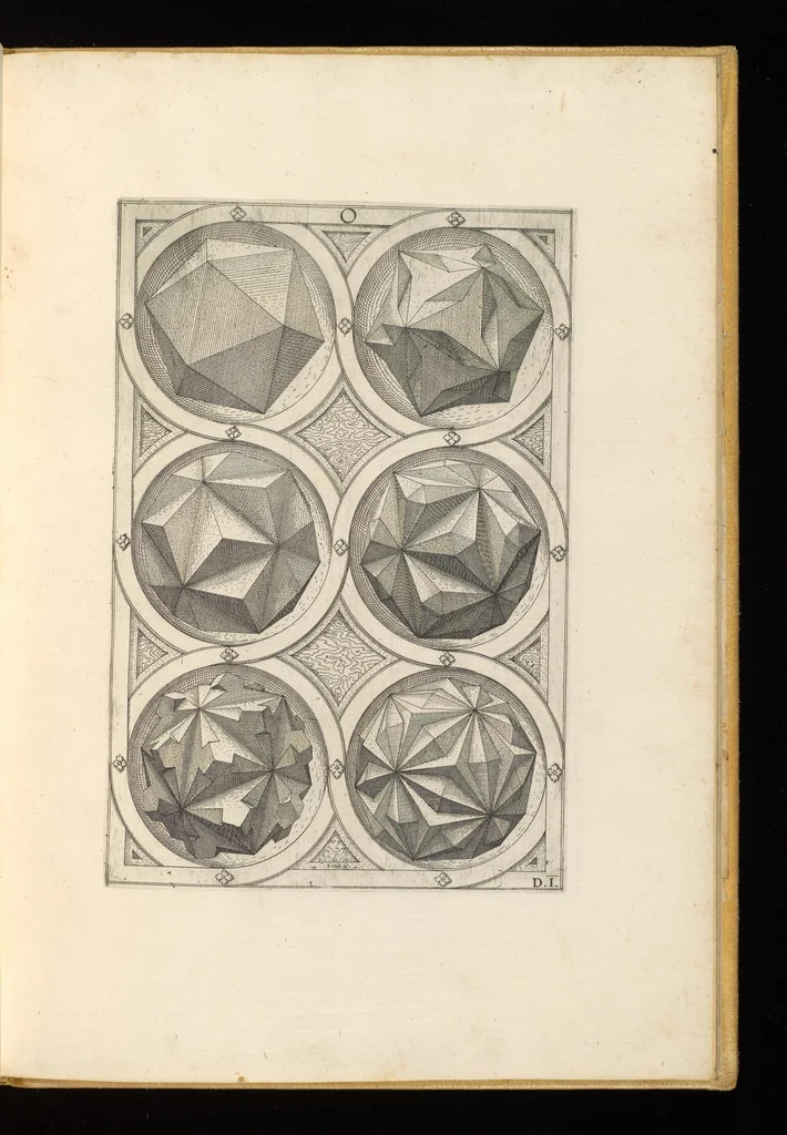 An illustration from Perspectiua corporum regularium : das ist, ein fleyssige Fürweysung, wie die fünff regulirten Cörper, daruon Plato inn Timaeo, vnnd Euclides inn sein Elementis schreibt, &c.; durch einen sonderlichen, newen, behenden vnd gerechten Weg, der vor nie im Gebrauch ist gesehen worden, gar künstlich inn die Perspectiua gebracht : vnd darzu ein schöne Anleytung, wie auss denselbigen fünff Cörpern one Endt, gar viel andere Cörper, mancherley Art vnd Gestalt, gemacht unnd gefunden werden mügen : allen Liebhabern der freyen Kunst zu Ehrn / ǂc durch Wentzeln Jamnitzer, burgern vnd Goldtschmid in Nürmberg, mit Götlicher Hülff an Tag geben &c, 1568, leaf 48