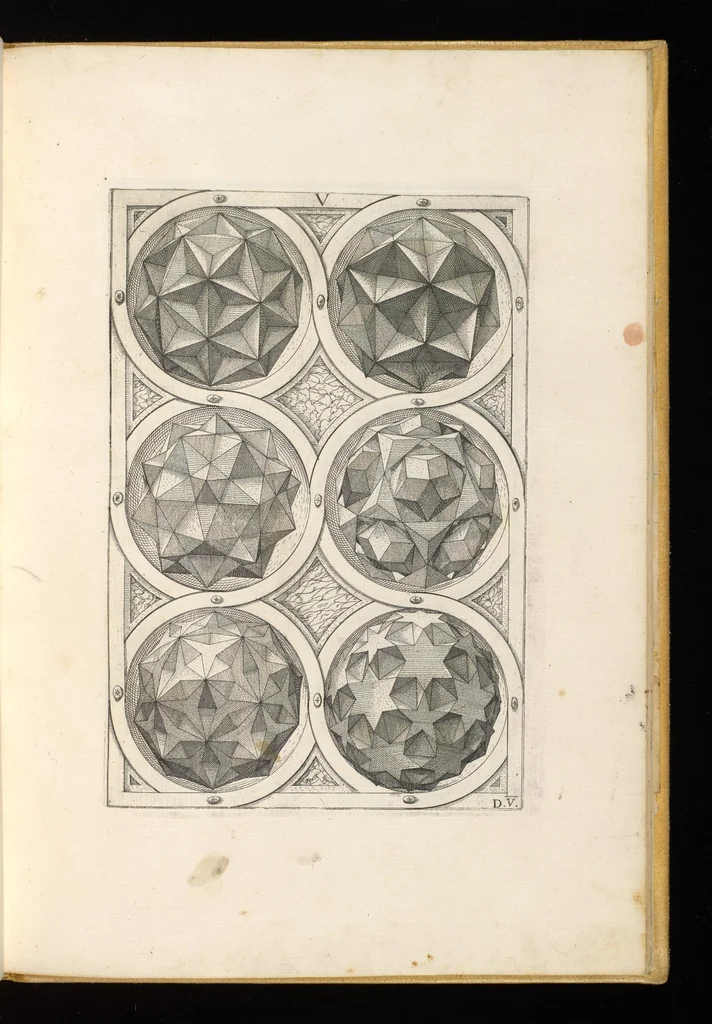 An illustration from Perspectiua corporum regularium : das ist, ein fleyssige Fürweysung, wie die fünff regulirten Cörper, daruon Plato inn Timaeo, vnnd Euclides inn sein Elementis schreibt, &c.; durch einen sonderlichen, newen, behenden vnd gerechten Weg, der vor nie im Gebrauch ist gesehen worden, gar künstlich inn die Perspectiua gebracht : vnd darzu ein schöne Anleytung, wie auss denselbigen fünff Cörpern one Endt, gar viel andere Cörper, mancherley Art vnd Gestalt, gemacht unnd gefunden werden mügen : allen Liebhabern der freyen Kunst zu Ehrn / ǂc durch Wentzeln Jamnitzer, burgern vnd Goldtschmid in Nürmberg, mit Götlicher Hülff an Tag geben &c, 1568, leaf 56