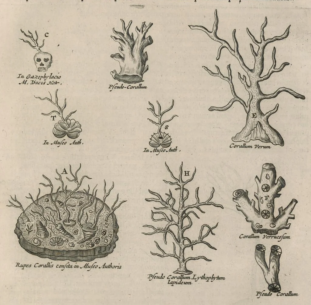 An illustration from Athanasii Kircheri e Soc. Jesu Mundus subterraneus : in XII libros digestus; quo divinum subterrestris mundi opificium, mira ergasteriorum naturae in eo distributio, verbo Pantamorphon [Greek work romanized] Protei regnum, universae denique naturae majestas & divitiae summa rerum varietate exponuntur, abditorum effectuum causae acri indagine inquisitae demonstrantur, cognitae per artis & naturae conjugium ad humanae vitae necessarium usum vario experimentorum apparatu, necnon novo modo & ratione applicantur, 1678, leaf 642