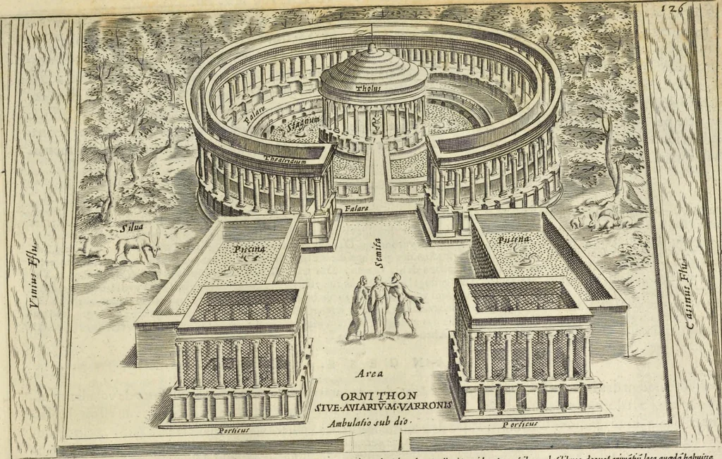 An illustration from Splendore dell'antica e moderna Roma : nel qvale si rappresentano tutti i principali tempii, teatri, anfiteatri, cerchi, naumachie, archi trionfali, obelischi, palagii, terme, curie, basiliche, fatti delli ré, consoli, dittatori, & imperadori romani : dignità ciuili, e militari, ordine de' trionfi, nomi di tutti i trionfanti, sacrificio militare; colonna Traiana, colonna Antonina, colonna milliaria, colonna rostrata, & colonna bellica; con li più segnalati giardini de gli antichi, e moderni Romani & altre cose notabili, con fatti, & imprese di quelli, da'quali sono stati eretti, e dedicati. : et in questa vltima impressione abbellito di molti disegni antichi, e moderni; & aggiuntoui le descrittioni delle figure cauate dall'antichi medaglie de gl'imperadori, in quatto linguagi latino, italiano, tedesco, e francese, per vtilità commune, 1641, leaf 278