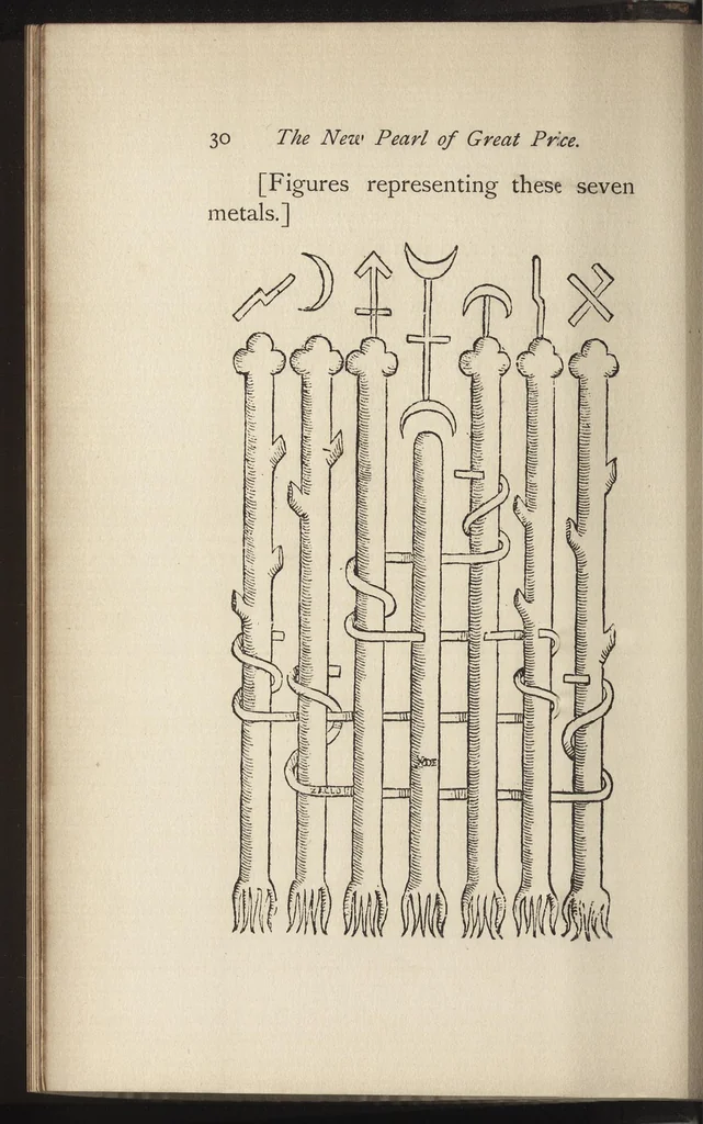 An illustration from The new pearl of great price : a treatise concerning the treasure and most precious stone of the philosophers, or, the method and procedure of this divine art : with observations drawn from the works of Arnoldus, Raymondus, Rhasis, Albertus, and Michael Scotus, 1894, leaf 45