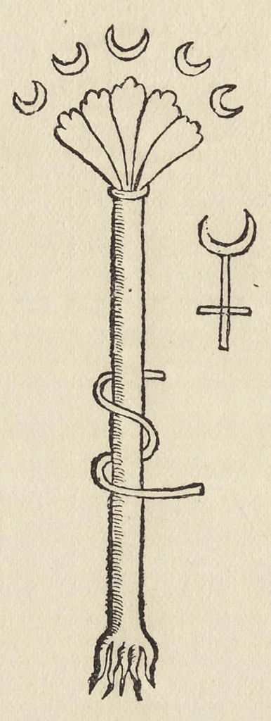 An illustration from The new pearl of great price : a treatise concerning the treasure and most precious stone of the philosophers, or, the method and procedure of this divine art : with observations drawn from the works of Arnoldus, Raymondus, Rhasis, Albertus, and Michael Scotus, 1894, leaf 47