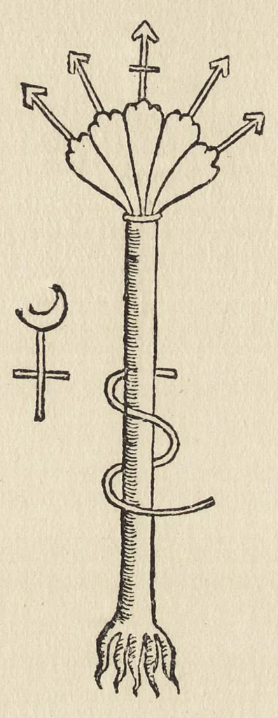 An illustration from The new pearl of great price : a treatise concerning the treasure and most precious stone of the philosophers, or, the method and procedure of this divine art : with observations drawn from the works of Arnoldus, Raymondus, Rhasis, Albertus, and Michael Scotus, 1894, leaf 48
