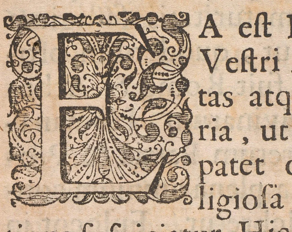 An illustration from Horti academici Lugduno-Batavi catalogus : exhibens plantarum omnium nomina, quibus ab anno MDCLXXXI ad annum MDCLXXXVI hortus fuit instructus ut & plurimarum in eodem cultarum & à nemine hucusque editarum descriptiones & icones, 1687, leaf 14