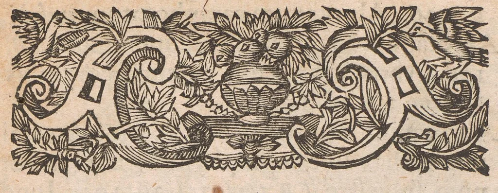 An illustration from Horti academici Lugduno-Batavi catalogus : exhibens plantarum omnium nomina, quibus ab anno MDCLXXXI ad annum MDCLXXXVI hortus fuit instructus ut & plurimarum in eodem cultarum & à nemine hucusque editarum descriptiones & icones, 1687, leaf 28