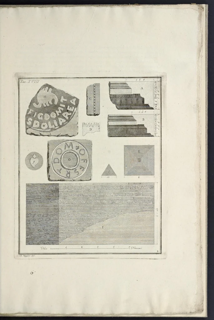 An illustration from Descrizione dei circhi : particolarmente di quello di Caracalla e dei giuochi in essi celebrati, 1789, leaf 170