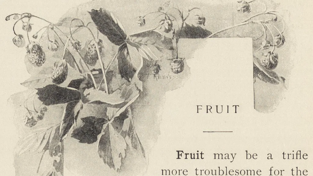 An illustration from A manual for china painters, being a practical and comprehensive treatise on the art of painting china and glass with mineral colors, 1907, leaf 211