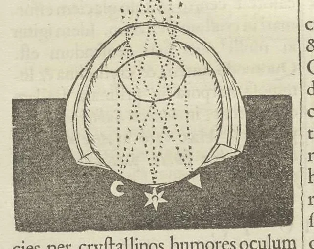An illustration from Physiologia Kircheriana experimentalis : qua summa argumentorum multitudine & varietate naturalium rerum scientia per experimenta physica, mathematica, medica, chymica, musica, magnetica, mechanica comprobatur atque stabilitur, 1680, leaf 105