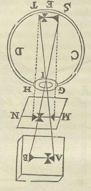 An illustration from Physiologia Kircheriana experimentalis : qua summa argumentorum multitudine & varietate naturalium rerum scientia per experimenta physica, mathematica, medica, chymica, musica, magnetica, mechanica comprobatur atque stabilitur, 1680, leaf 106