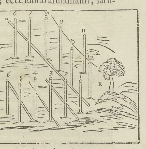 An illustration from Physiologia Kircheriana experimentalis : qua summa argumentorum multitudine & varietate naturalium rerum scientia per experimenta physica, mathematica, medica, chymica, musica, magnetica, mechanica comprobatur atque stabilitur, 1680, leaf 120
