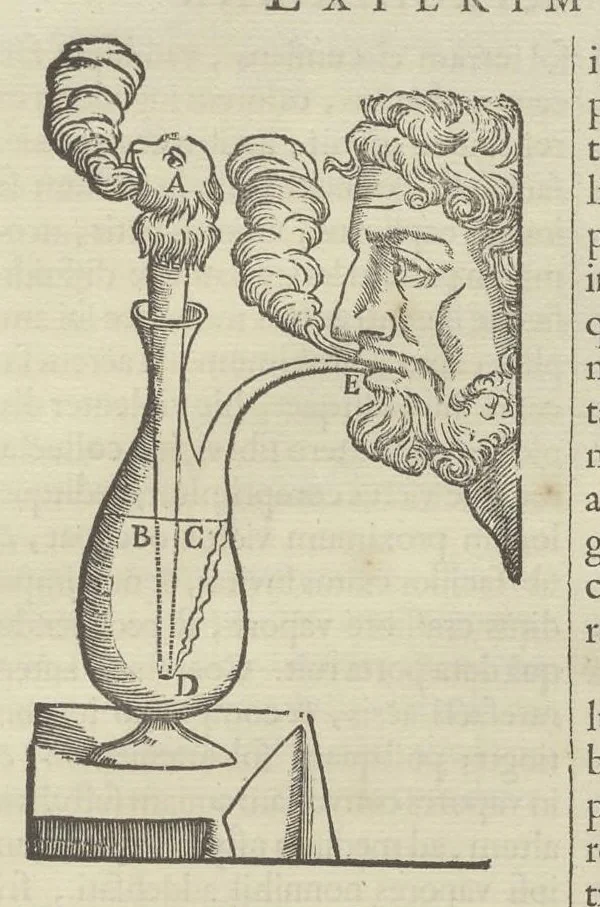 An illustration from Physiologia Kircheriana experimentalis : qua summa argumentorum multitudine & varietate naturalium rerum scientia per experimenta physica, mathematica, medica, chymica, musica, magnetica, mechanica comprobatur atque stabilitur, 1680, leaf 184