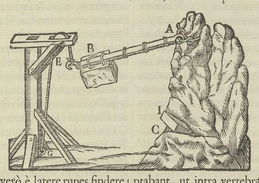 An illustration from Physiologia Kircheriana experimentalis : qua summa argumentorum multitudine & varietate naturalium rerum scientia per experimenta physica, mathematica, medica, chymica, musica, magnetica, mechanica comprobatur atque stabilitur, 1680, leaf 222
