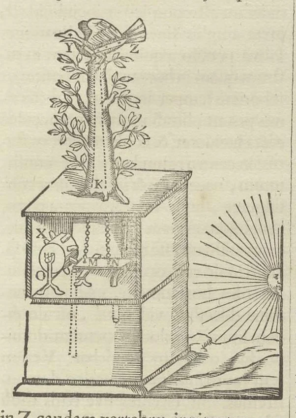 An illustration from Physiologia Kircheriana experimentalis : qua summa argumentorum multitudine & varietate naturalium rerum scientia per experimenta physica, mathematica, medica, chymica, musica, magnetica, mechanica comprobatur atque stabilitur, 1680, leaf 230
