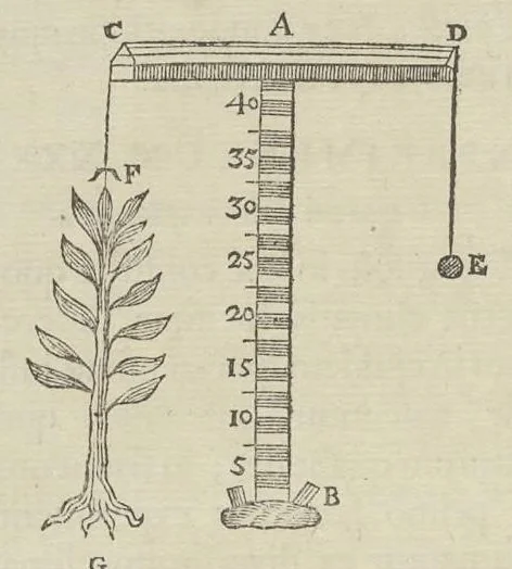 An illustration from Physiologia Kircheriana experimentalis : qua summa argumentorum multitudine & varietate naturalium rerum scientia per experimenta physica, mathematica, medica, chymica, musica, magnetica, mechanica comprobatur atque stabilitur, 1680, leaf 77