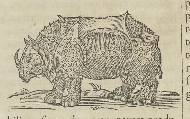 An illustration from Romani Collegii Societatis Jesu Musaeum celeberrimum : cujus magnum antiquariae rei, statuarum, imaginum, picturarumque partem ex legato Alphonsi Donini, S.P.Q.R., a secretis, munificâ liberalitate relictum, 1678, leaf 79