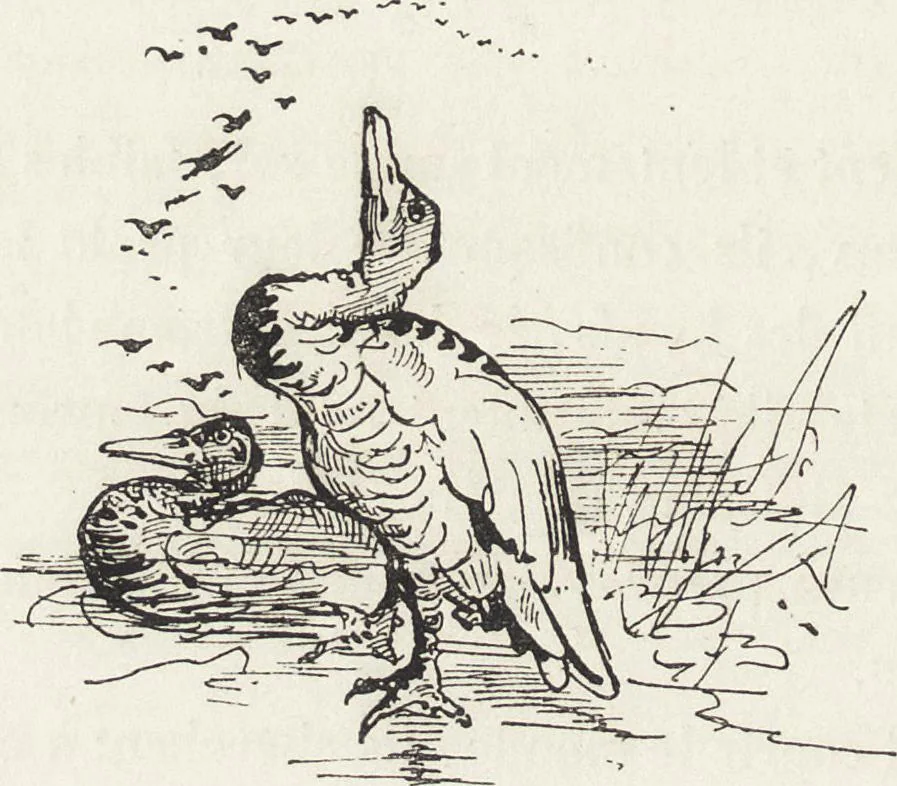 An illustration from La vie hors de chez soi (comédie de notre temps) l'hiver, le printemps, l'été, l'automne; études au crayon et à la plume, 1876, leaf 15