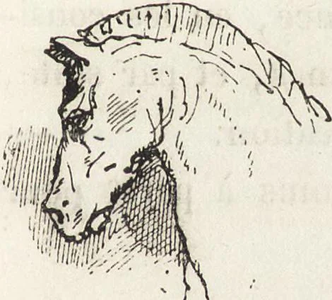 An illustration from La vie hors de chez soi (comédie de notre temps) l'hiver, le printemps, l'été, l'automne; études au crayon et à la plume, 1876, leaf 352