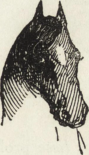An illustration from La vie hors de chez soi (comédie de notre temps) l'hiver, le printemps, l'été, l'automne; études au crayon et à la plume, 1876, leaf 354