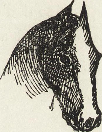 An illustration from La vie hors de chez soi (comédie de notre temps) l'hiver, le printemps, l'été, l'automne; études au crayon et à la plume, 1876, leaf 354