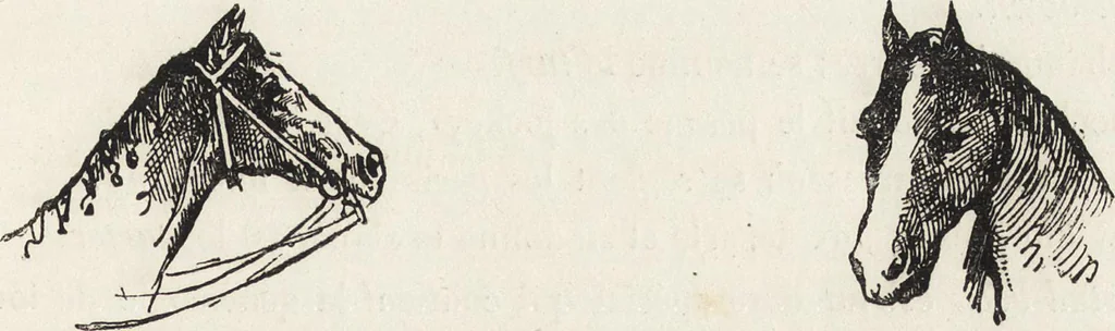 An illustration from La vie hors de chez soi (comédie de notre temps) l'hiver, le printemps, l'été, l'automne; études au crayon et à la plume, 1876, leaf 354